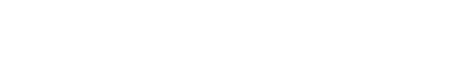Visa - white